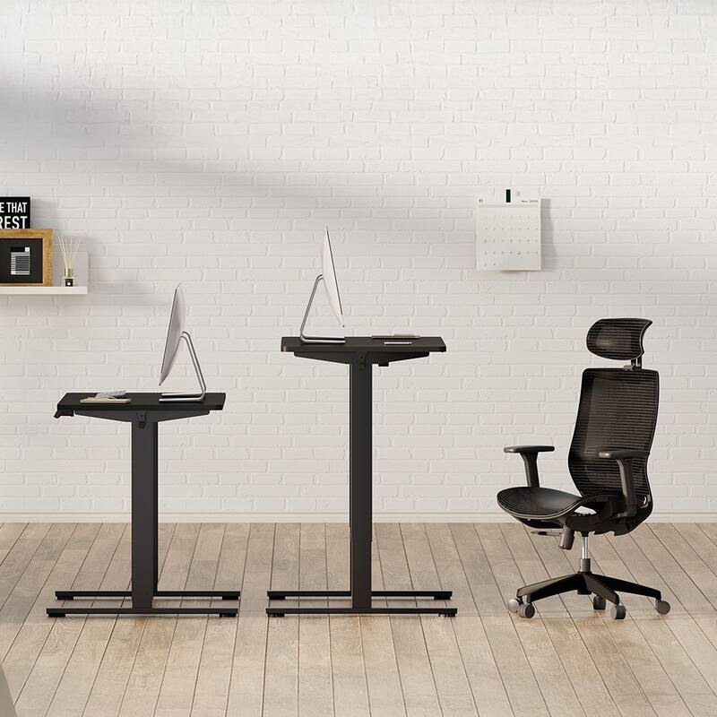 Electric Standing Desk, Dual Motor Adjustable 48x24 Home Workstation