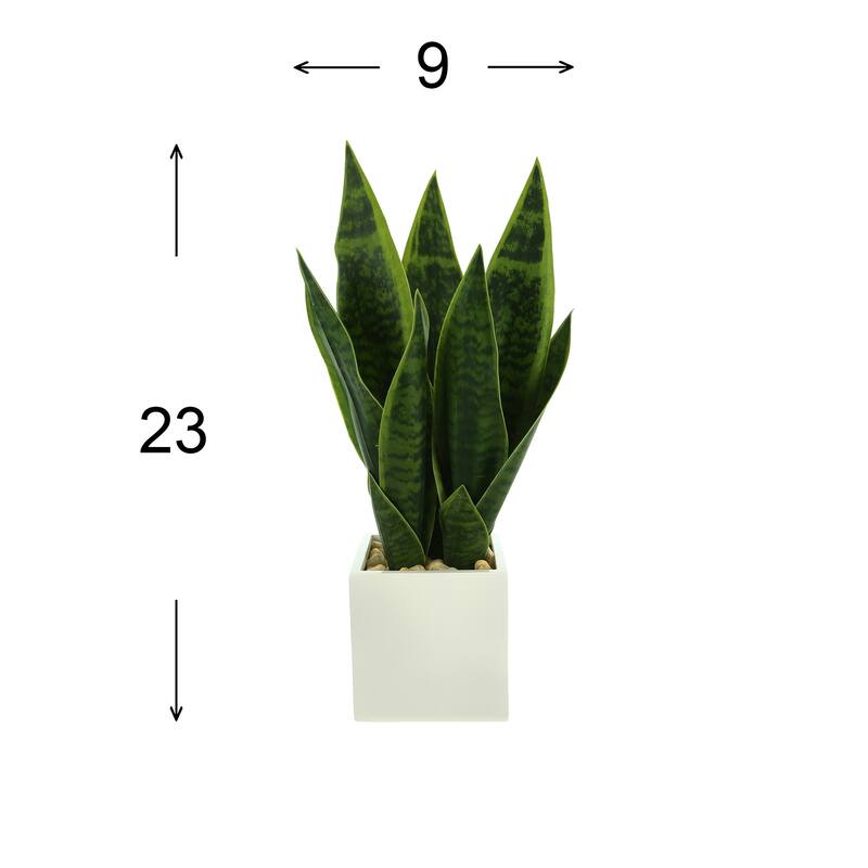 Classic Snake Plant in Fiberstone Pot with Rocks