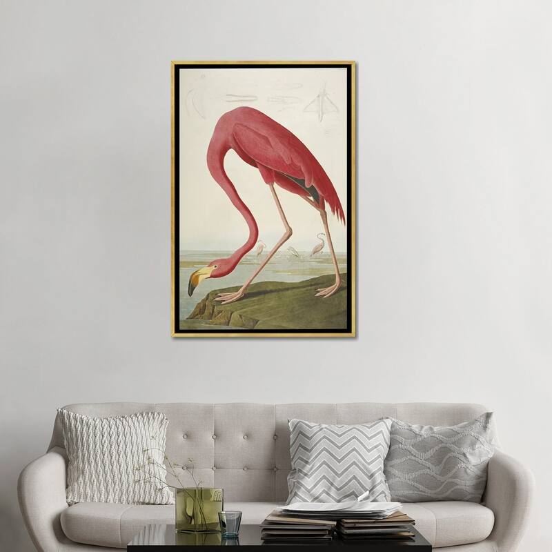 iCanvas "American Flamingo" by John James Audubon Framed Canvas Print
