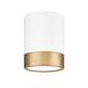 Option Matte White / Modern Gold
