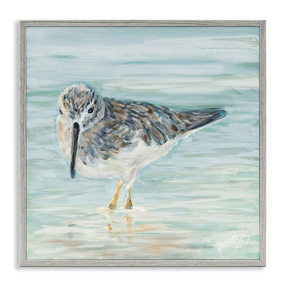 Stupell Nautical Sandpiper Shallow Beach Waters Traditional Bird Framed Wall Art