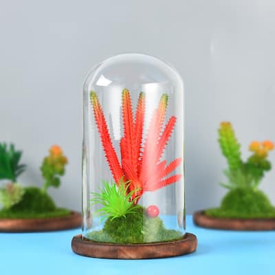 Simulated Micro-Landscape Of Succulent Glass Cover Dust-Proof Creative Ornament