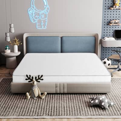 Suri 6 in. Firm Foam Bed in a Box Mattress