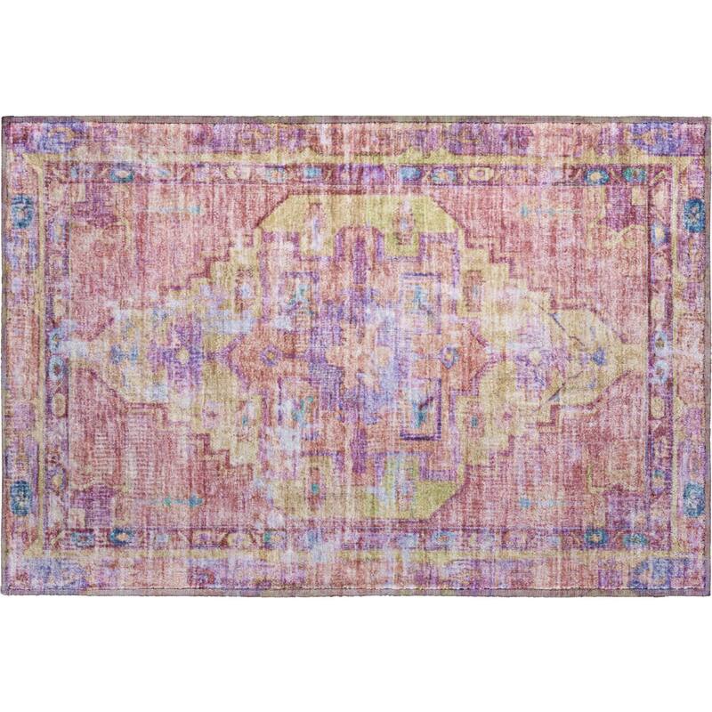 Premium Washable Super Soft Vintage Traditional Mayfield Rug