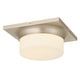 preview thumbnail 8 of 11, 10-in Antique Brass LED Flush Mount