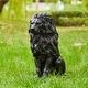 preview thumbnail 21 of 55, Glitzhome MGO Majestic Sitting Guardian Lion Statues Porch Sculpture Outdoor Indoor Set of 2