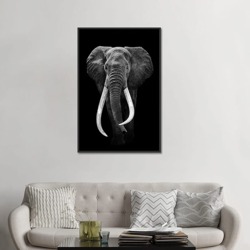 iCanvas "Elephant Black And White" by Adrian Vieriu Framed