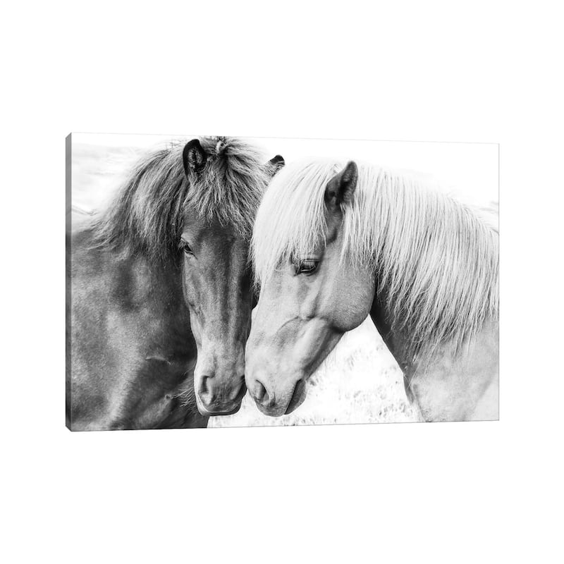 iCanvas "Horse Love" by Sisi & Seb Canvas Print