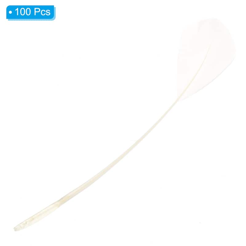6-8 Inch Goose Feathers, 100 Pack Bulk Natural Feathers Style 4 - 6-8 Inch