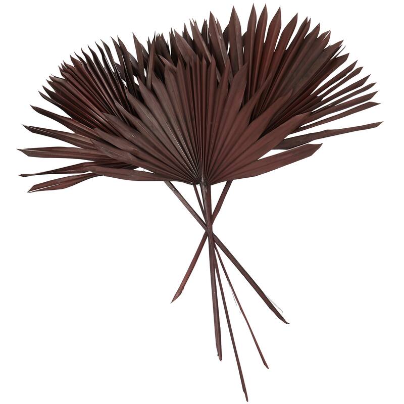 White or Dark Brown Dried Plant Handmade Large Sun Spear Palm Leaf Natural Foliage - Dark Brown