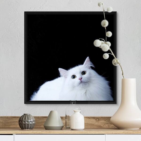 Shop Siberian Cat Black Float Frame Canvas Art Overstock