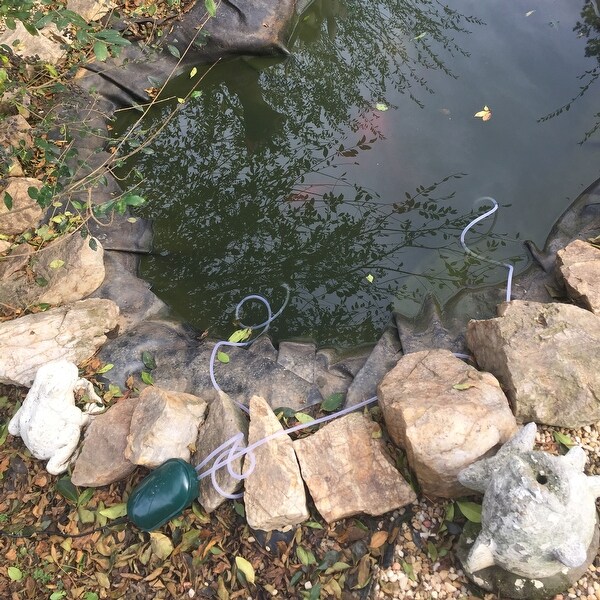 Ponds Water Features Solar Fountain Pump 52 Gph W Battery Back Up And Led Lights Water Garden Ponds Garden Patio Breadcrumbs Ie