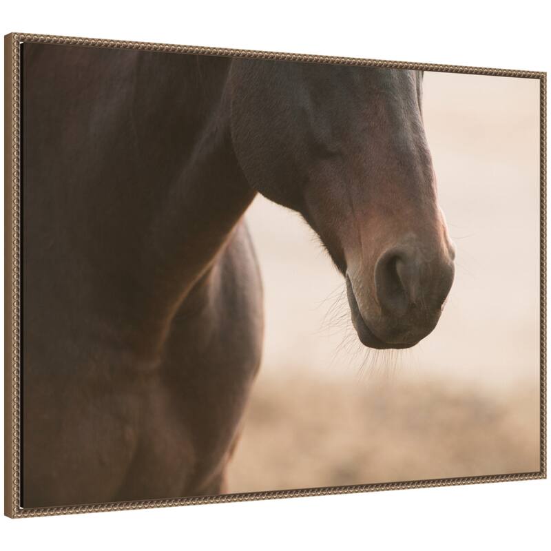 Kate and Laurel Dusty by Crystal Lynn Collins Framed Canvas Wall Art Print - 38 x 28 - Gold