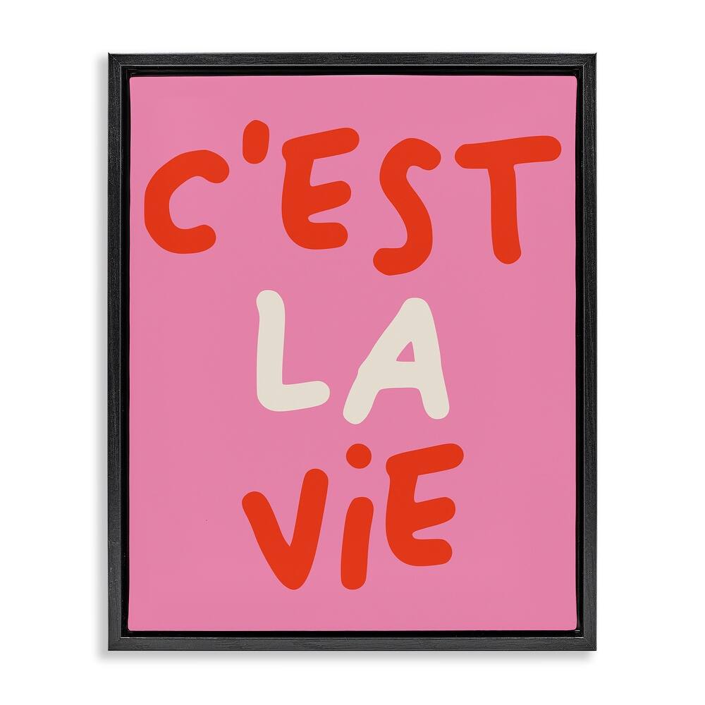 Stupell C'est La Vie on Pink Framed Floater Canvas Wall Art Design By House of Lulu