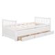 Option White