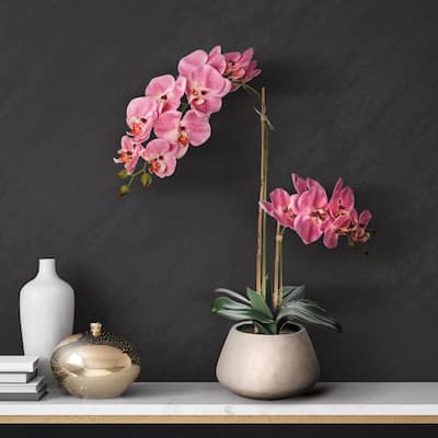 24" Natural Touch Phaleanopsis In Cement Pot
