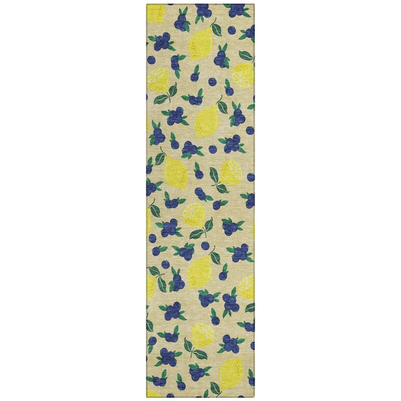 Machine Washable Indoor/ Outdoor Citrus Berry Chantille Rug
