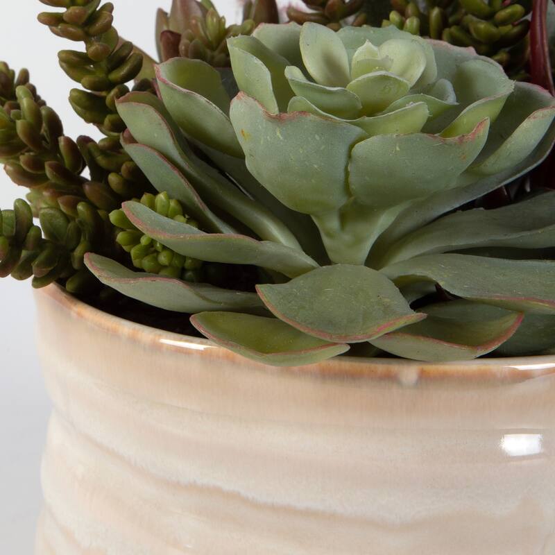 Uttermost Mesa Succulent Accent - 10"W x 9"H x 10"D
