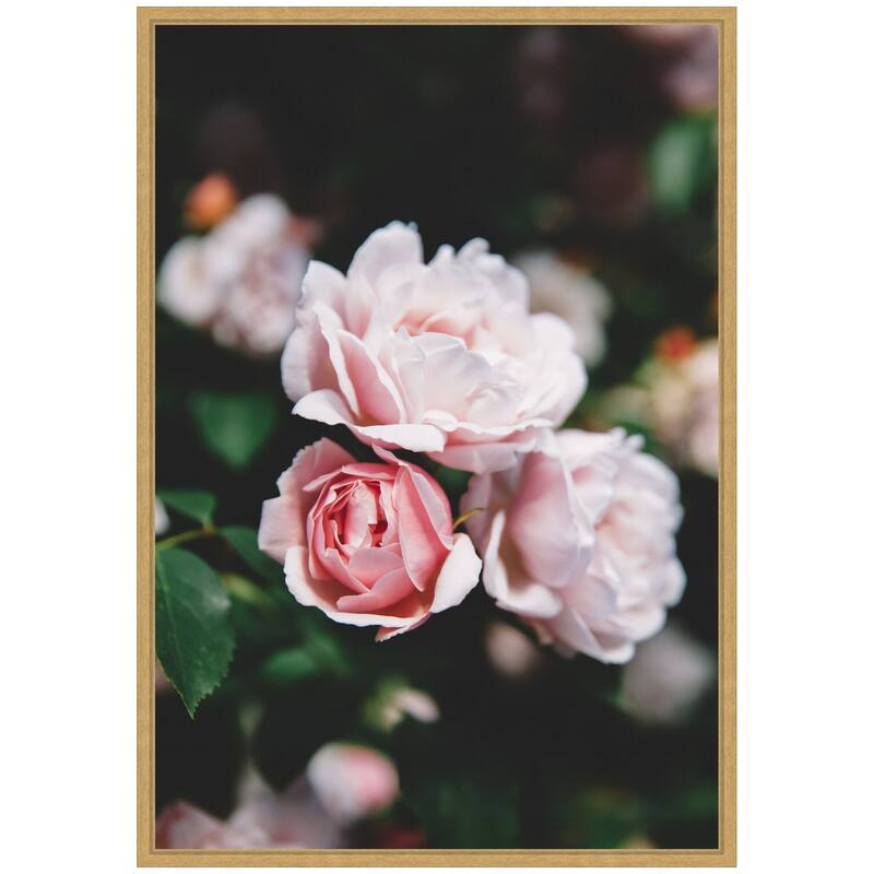 Kate and Laurel Sylvie Delicate Light Pink Rose Floral Framed Canvas by Patricia Hasz of Patricia Rae Photography