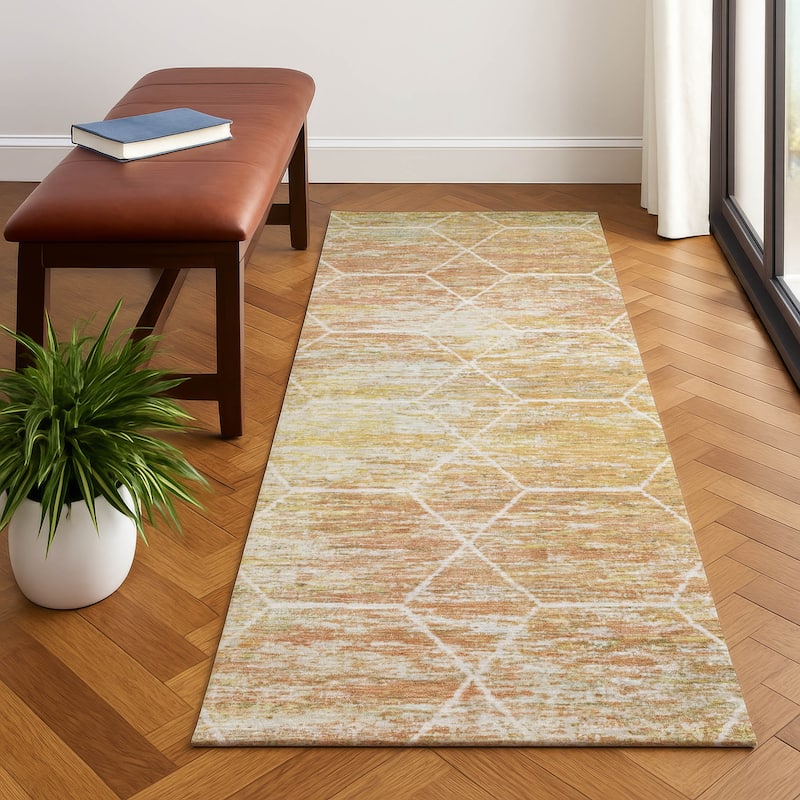Premium Washable Super Soft Geo Abstract Mayfield Rug - Salmon - 2'3" x 7'6"