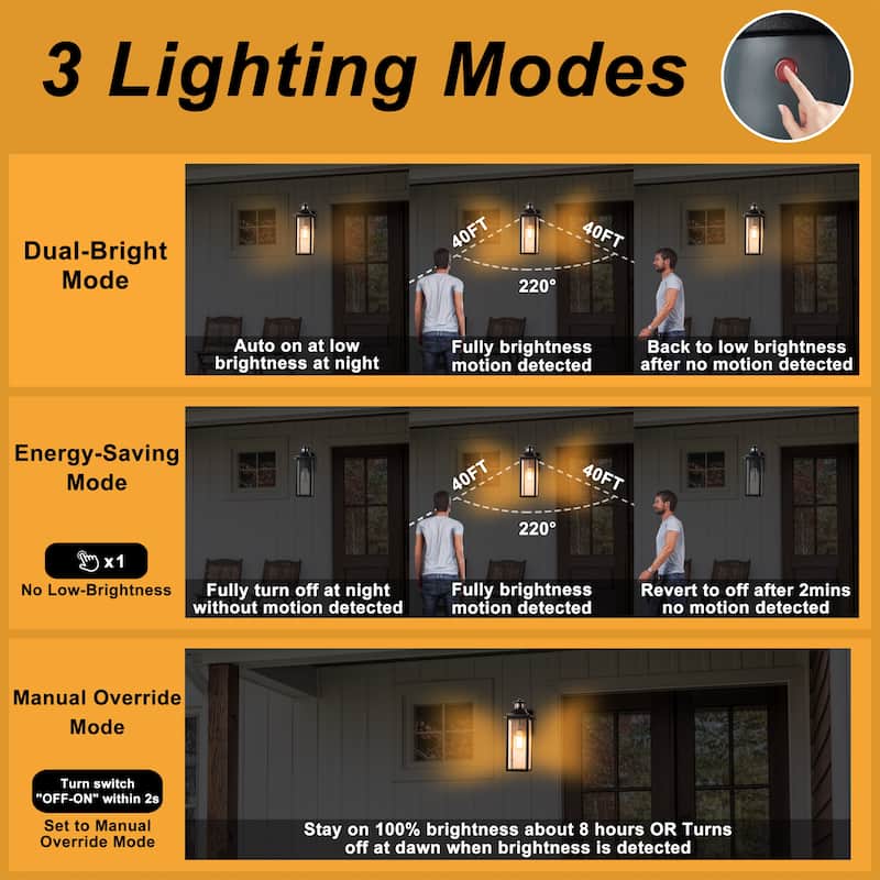 C Cattleya Motion Sensor Dusk to Dawn Outdoor Wall Light
