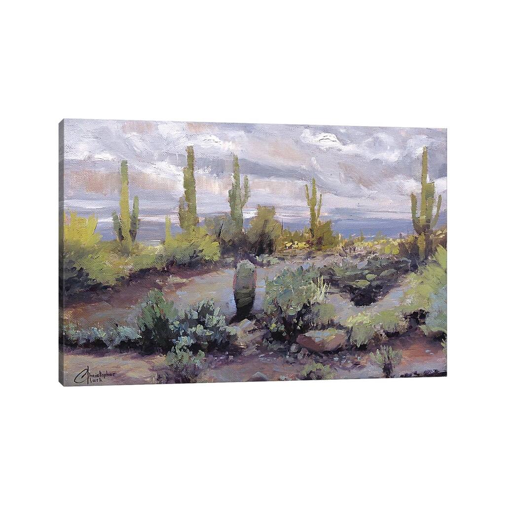 iCanvas "Desert And Rain I" by Christopher Clark Canvas Print