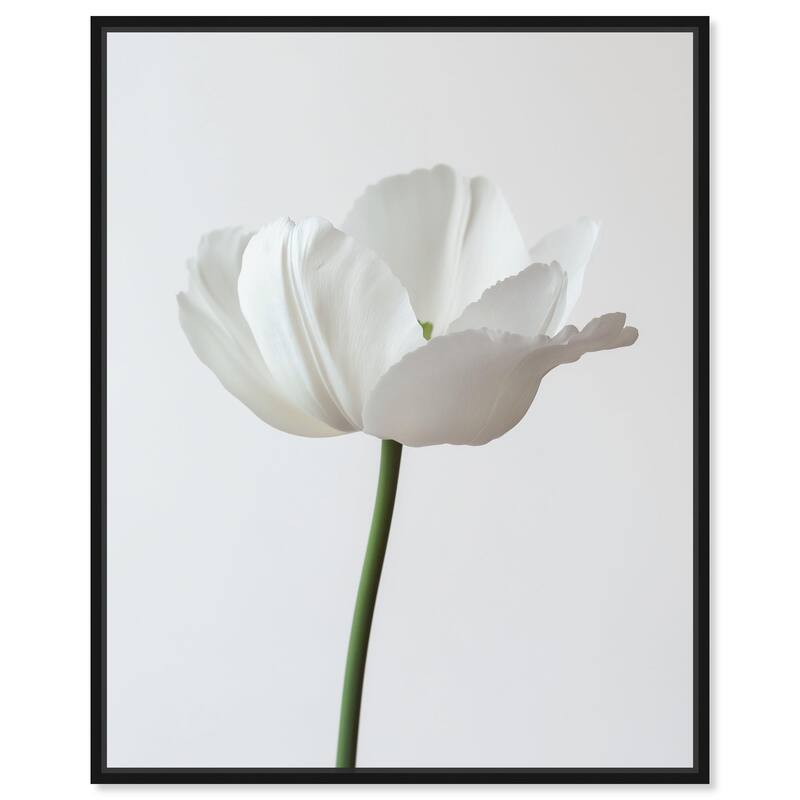 Pearl Floret Canvas by Art Remedy - 24" x 30" - Black