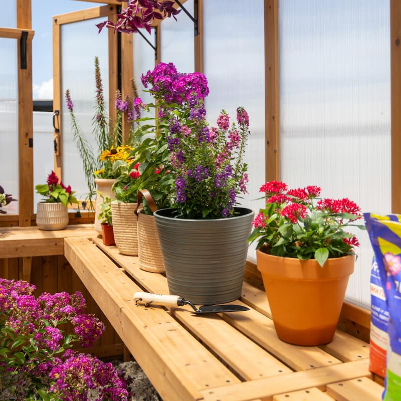 Backyard Discovery Savannah Chalet-Style 14.5' x 12' Cedar Greenhouse