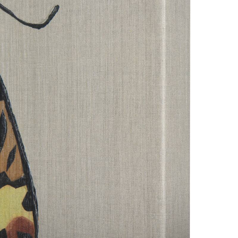 Moth III (20 x 20 ) Canvas Art Print
