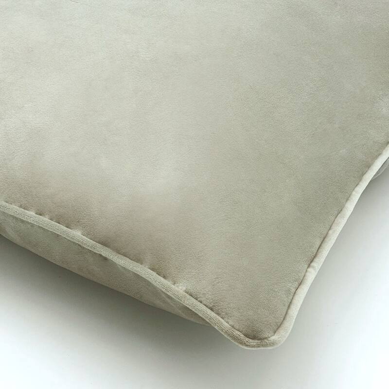 Seren Velvet Decorative Pillow 20 x 20