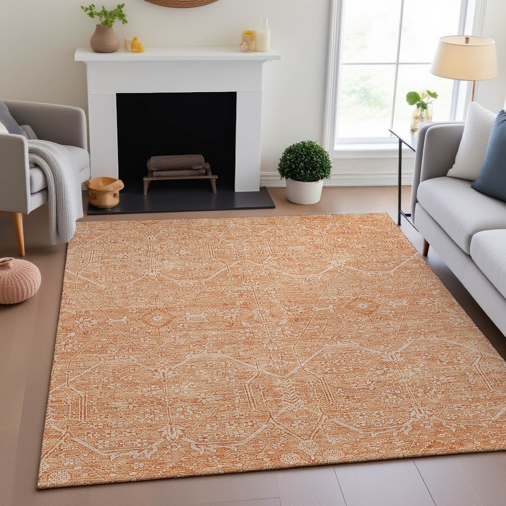 Premium Washable Super Soft Traditional Global Mayfield Rug