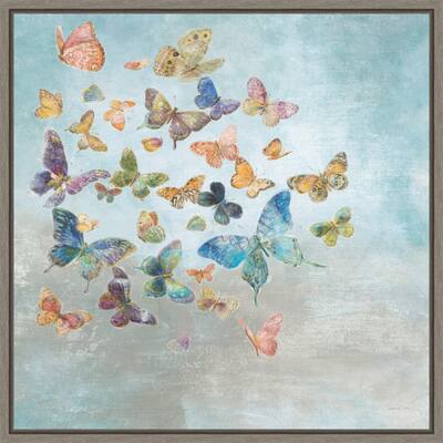 Beautiful Butterflies v3 Square by Danhui Nai Framed Canvas Art