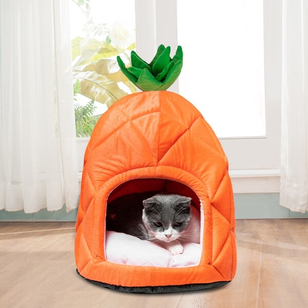 pineapple cat bed