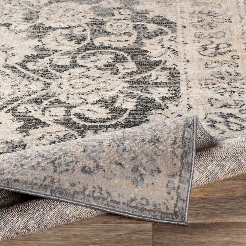 Amedeo Traditional Area Rug