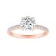 Option Rose