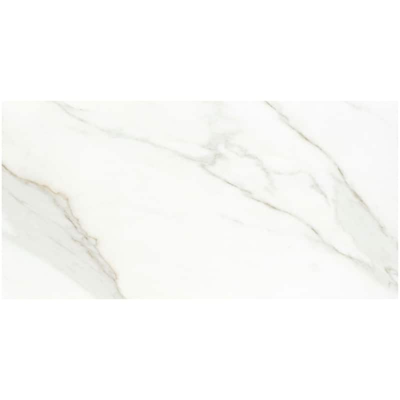 Emser Tile F19NOBL1224P Nobleza - 12" x 24" Floor and Wall Tile -