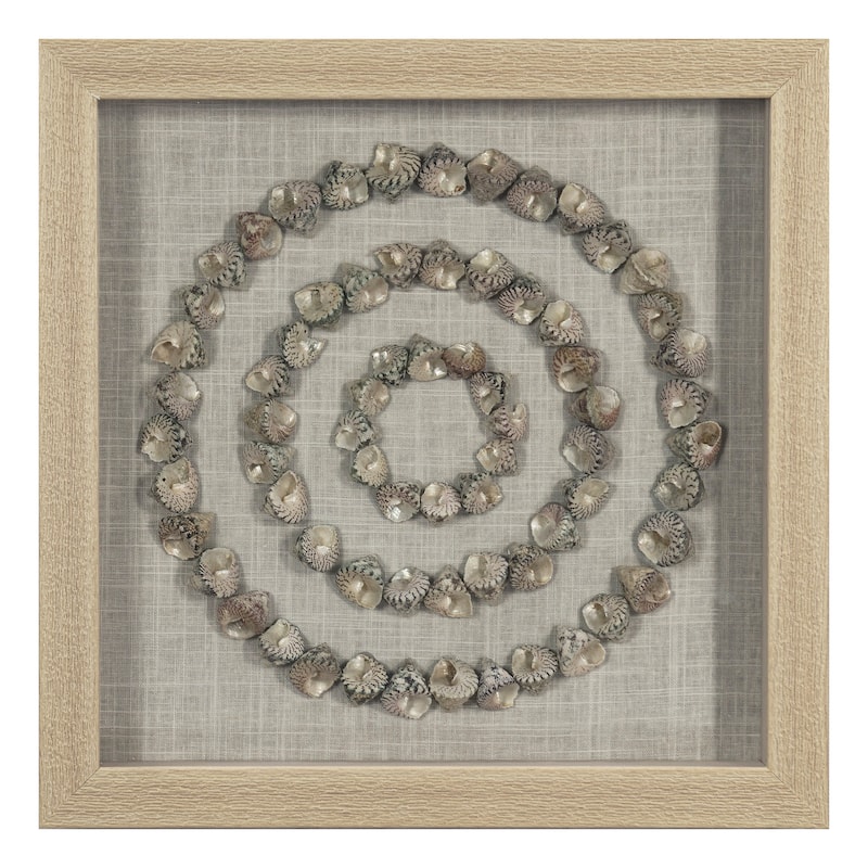 HUJI Sea Shell Rings Shadow Box Wall Décor Set
