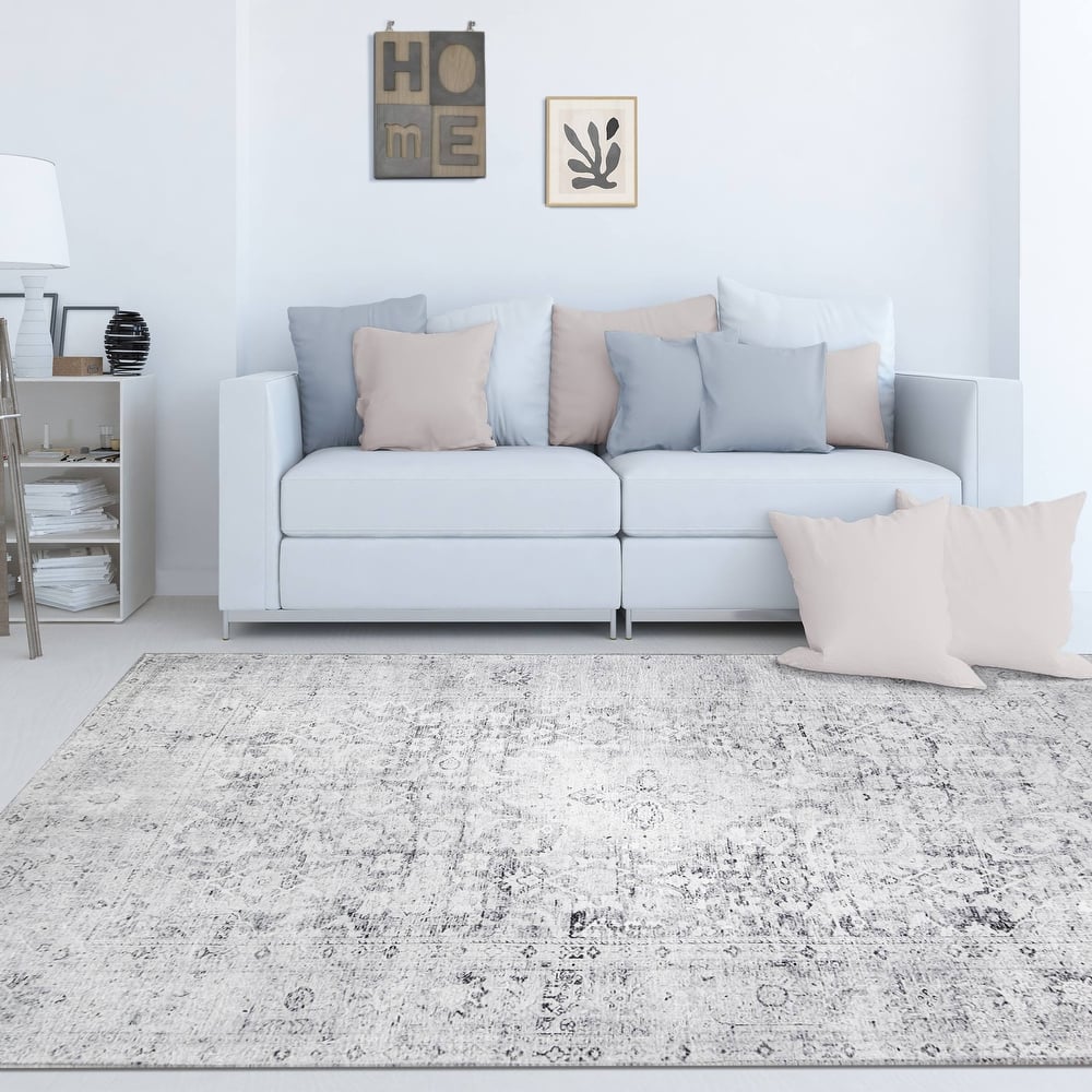 Superior Huda Distressed Medallion Indoor Area Rug