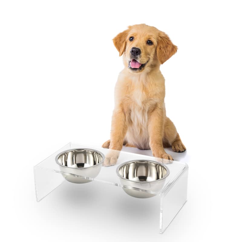 Keaton 5" Small/Medium Modern Lucite Rectangular Elevated Pet Feeder with 20oz 2-Stainless Steel Bowls