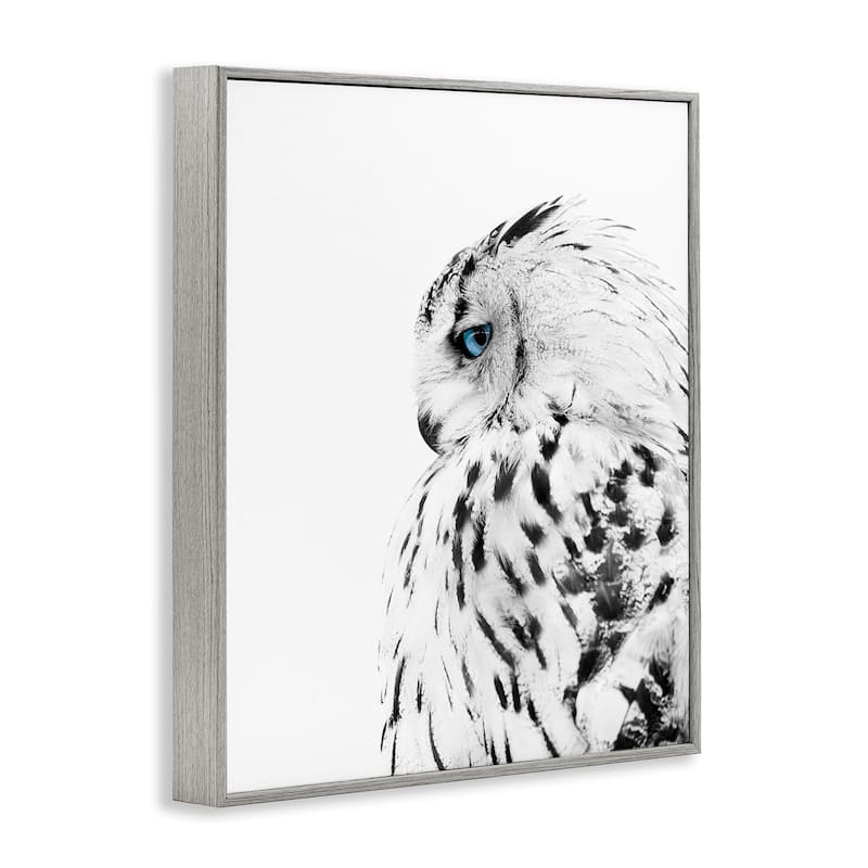 Stupell Snow Owl White Feathers Peering Blue Eyes Framed Giclee Texturized Art by Design Fabrikken