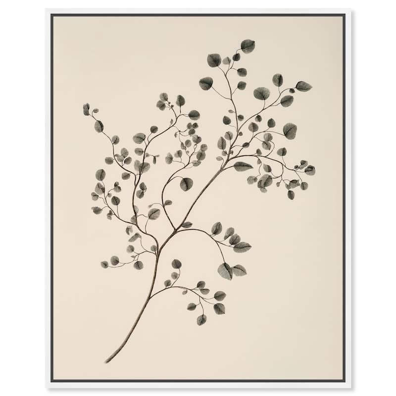 Bilberry Branch Canvas by Art Remedy - White - 24" x 30"