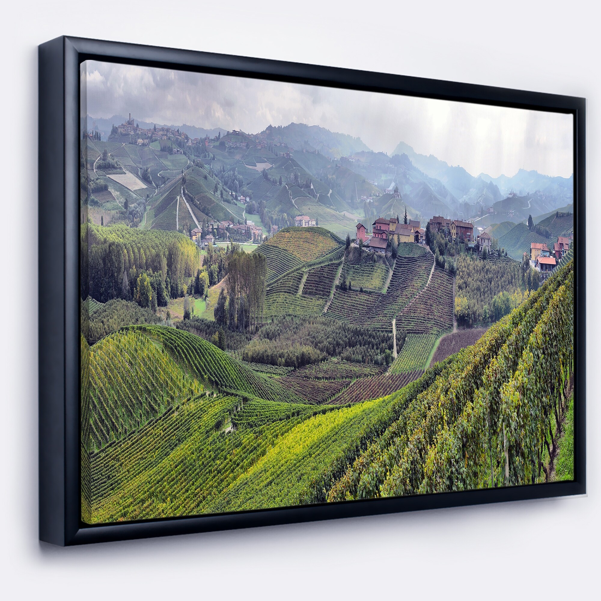 https://ak1.ostkcdn.com/images/products/is/images/direct/cb92df52f1d37e4aa7d2f085312ac8d1a4f80ba3/Designart-%27Vineyards-in-Italy-Panoramic%27-Photography-Framed-Canvas-Art-Print.jpg
