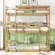 Option White Oak