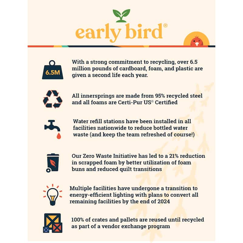 Early Bird CopperCool Performance 10" Firm Memory Foam Mattress