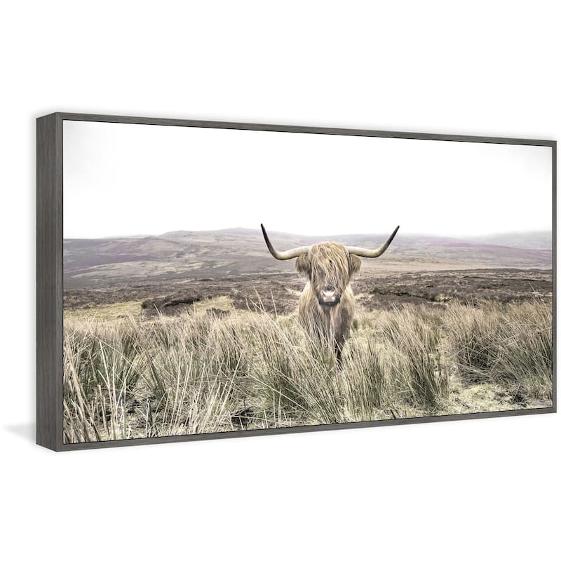 Long Horn Floater Framed Print on Canvas