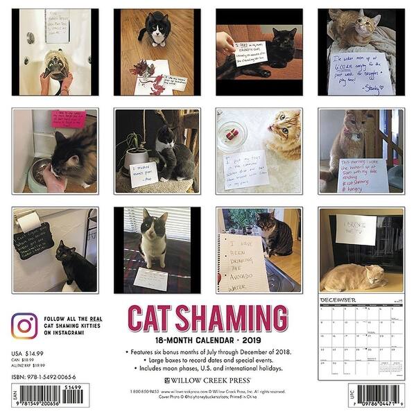 Shop 2019 Cat Shaming 2019 Wall Calendar Funny Cats By Willow Creek Press Overstock 22202526