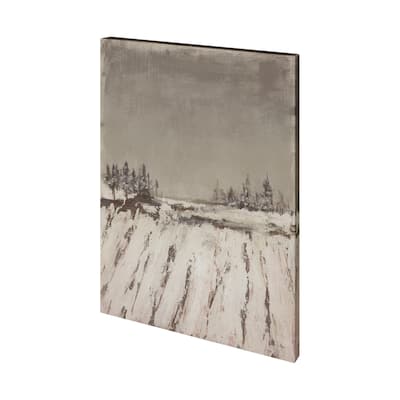 Silent Snow II (28 x 35) Canvas Art Print