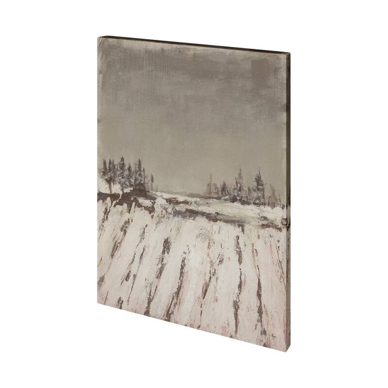 Silent Snow II (40 x 50) Canvas Art Print - Large