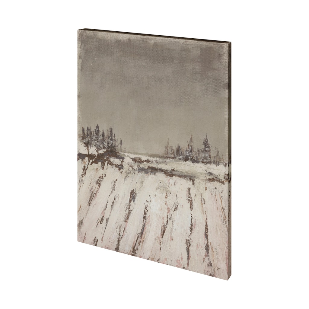 Silent Snow II (40 x 50) Canvas Art Print