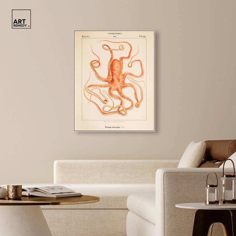 Verany The Octopus 1815 I Canvas by Art Remedy